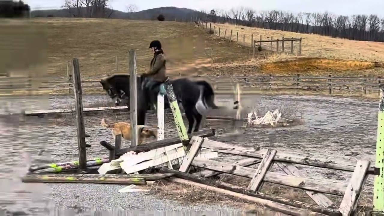 Nylea Ringwork January24