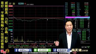 理周TV-20191213 盤後-楊天迪 股票會說話/威剛創高、力旺、合晶、旺矽 看好:半導體為軸心+投信認養股