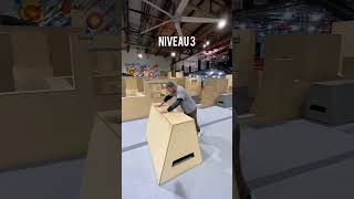 Les Étapes Pour Le Saut De Chat Kong Vault