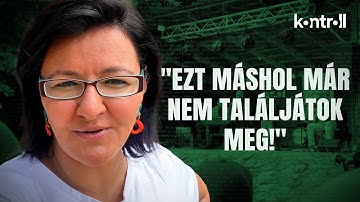 Völgy Vlog - Ilyen volt a 2025-ös Művészetek Völgye