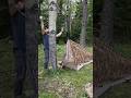 Bushcraft Awning 3x3. Option 6#shorts