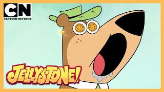Jellystone Välkommen Till Jellystone Svenska Cartoon Network