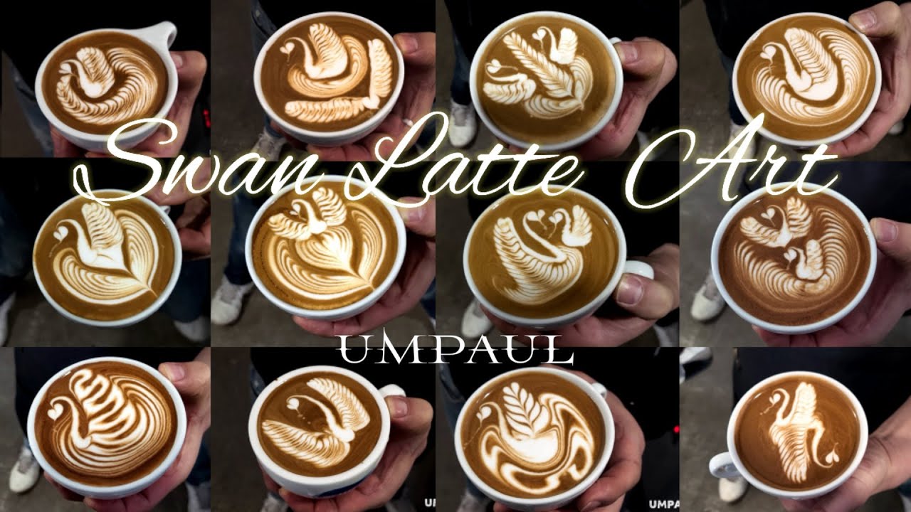 happy Swan Latte Art World Champion Umpaul 예쁜 백조 라떼아트  월드챔피언 엄폴  #latte#art#swan