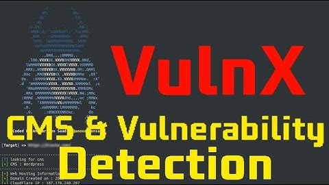 Hunting Vulnerabilities in Vulnx CMS