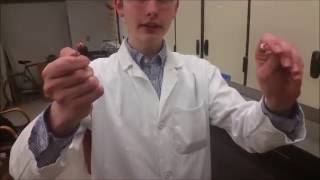 Freezing Rubber with Liquid Nitrogen