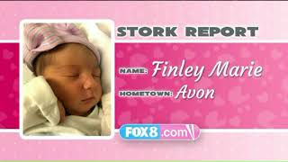 Stork Report 10/23/17