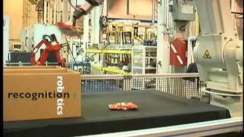 Recognition Robotics ~ Flexible Object 3D Recognition and Robot Guidance