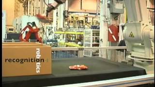 Recognition Robotics Flexible Object 3D Recognition And Robot Guidance