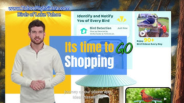 Amazing NETVUE Birdfy Smart Bird Feeder with Camera