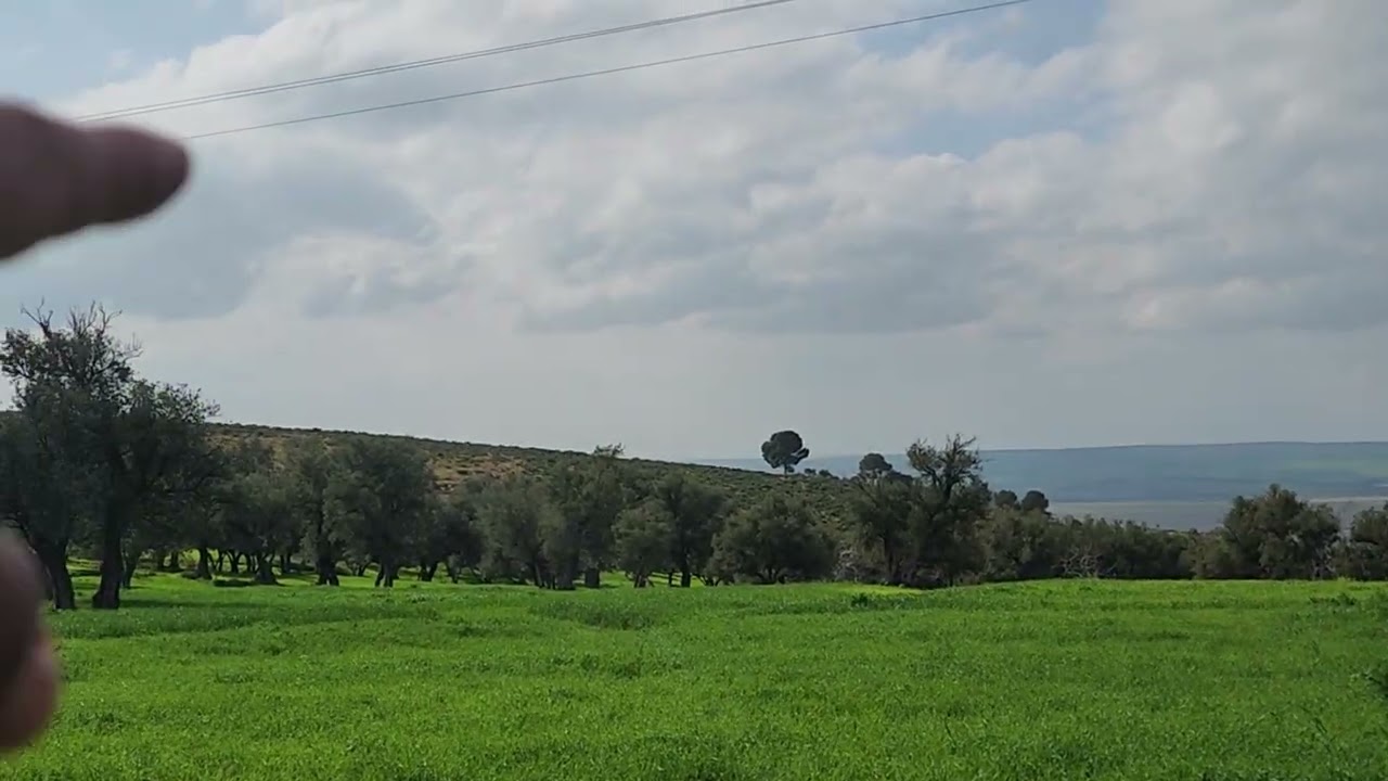 07/03/2026 ارض 2000 متر تمن 2 مليون الهاتف 0666061770