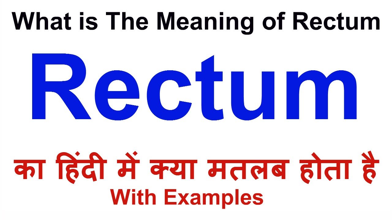 Rectum Meaning in Hindi Rectum Definition Rectum Ka Matlab Kya Hota