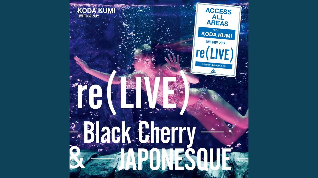 月と太陽 re (LIVE) -Black Cherry- (iamSHUM Non-Stop Mix) in Osaka