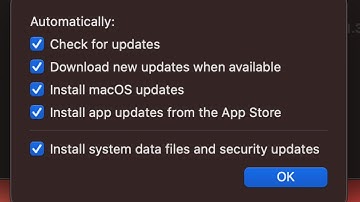 How to automatically install app updates from the App Store on Mac