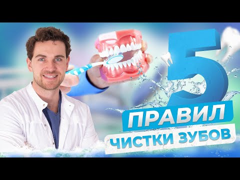 5 Правил техники чистки зубов в домашних условиях. Советы стоматолога  | InSmile | Глеб Пекли