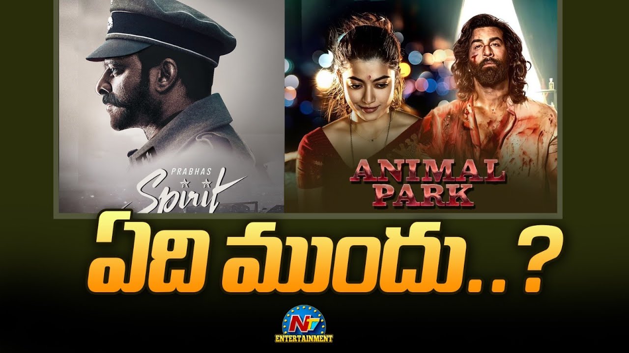 Sandeep Reddy Vanga's Next Movie ? | Spirit, Animal Park || @NTVENT