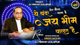 Ye Banda Jay Bhim Wala Hai halgimix Track     Remix Dj Pravin Solapur Insta Viral 