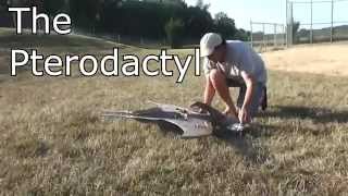 pterodactyl remote control toy