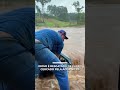 Idoso é resgatado de carro cercado pela água no RS |  #sbtnews
