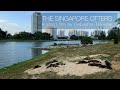 Singapore Otters