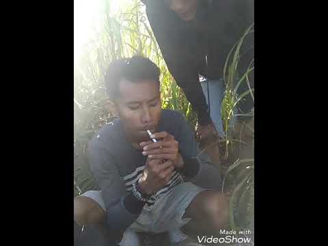 Puncak kiematubu Tidore maluku utara