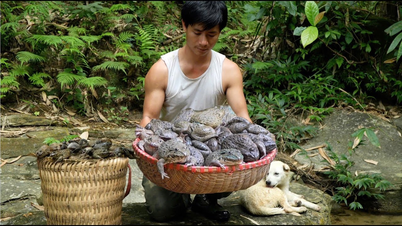 Catching Wild Frogs, The Inspiring Story of a CEO Who Left the City for the Forest