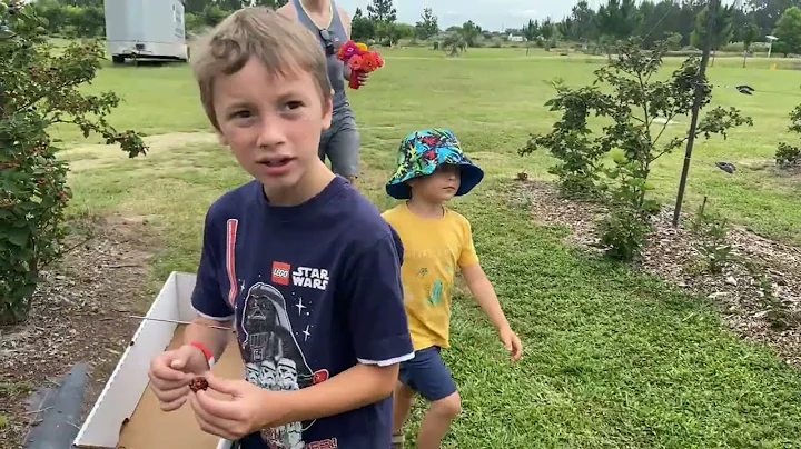 Neal's Berry Farm