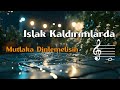 Islak Kaldırımlarda (Official Audio) | Bir Yapay Zeka Şarkısı