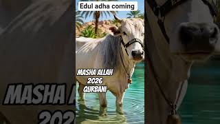 Eid Advance Mubarak mashllah #islamicshorts #bayan #quran #viral #tranding #makkah #viraltrend