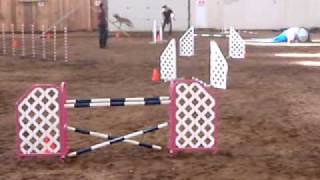 radical rabbit steeplechase