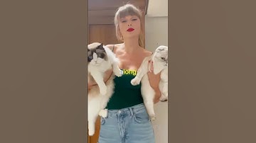 The reason Taylor Swift is a CAT PERSON 🐱 🐈
