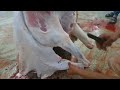 سلخ وتعليق الخروف بالاله العجيبه تحياتي اعتذر على التصوير سلخ وتعليق الخروف بالاله العجيبه تحياتي اعتذر على التصوير