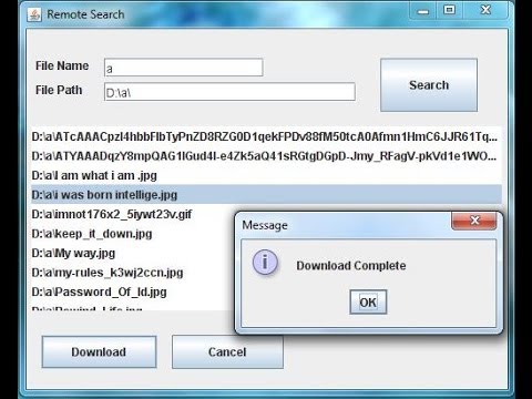 Search Engine Project PPT