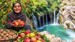 🍎🌰 Organic Apple & Walnut Harvest! Zeynab Discovers a Paradise Waterfall 🌊