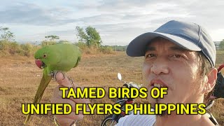 Ibon Man May Layang Lumipad