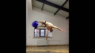 Famous Guy Showcases Talent by Performing Amazing Handstand Tricks on Vertical Bar - 1169014-1 Profile