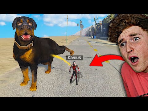 Playing As ANT MAN In GTA 5.. (Superhero Mod)