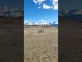 #mountain #horse #free #weekend #shortvideo #yuotubeshorts