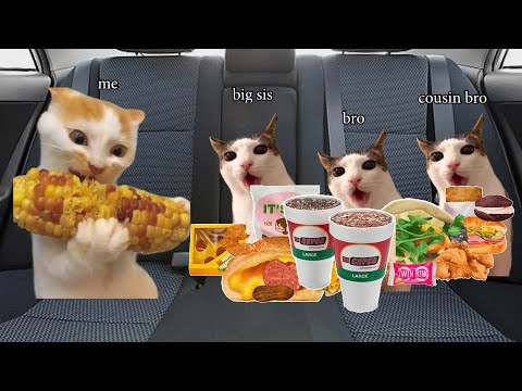 Family road trip with cat memes