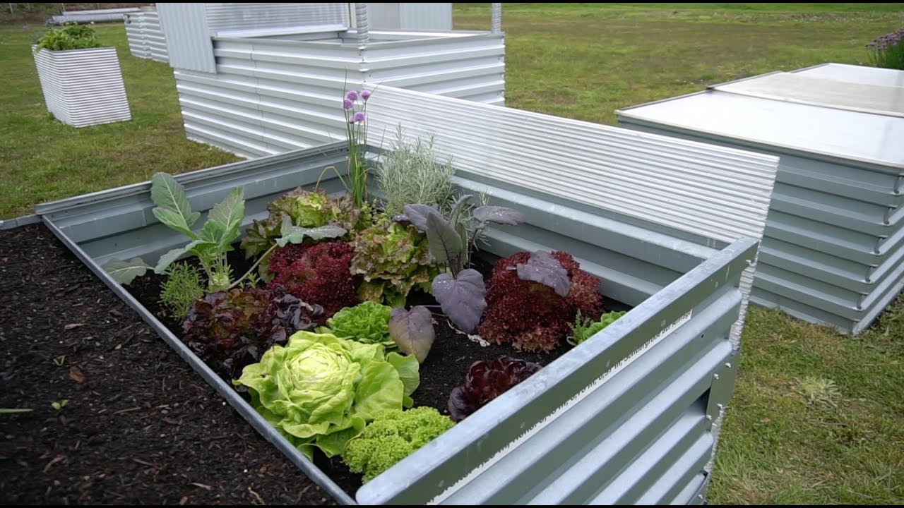 nohfelden restaurant MSL GmbH - Hochbeete / Frühbeete / Gewächshäuser