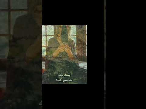 البحث عن الحقيقه
