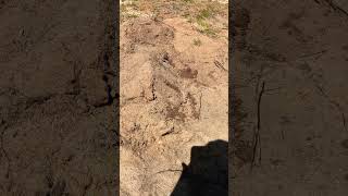 Project dirt day 3