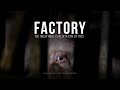 Factory. The industrial exploitation of pigs.