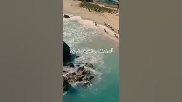 صوت خاشع سورة العاديات
