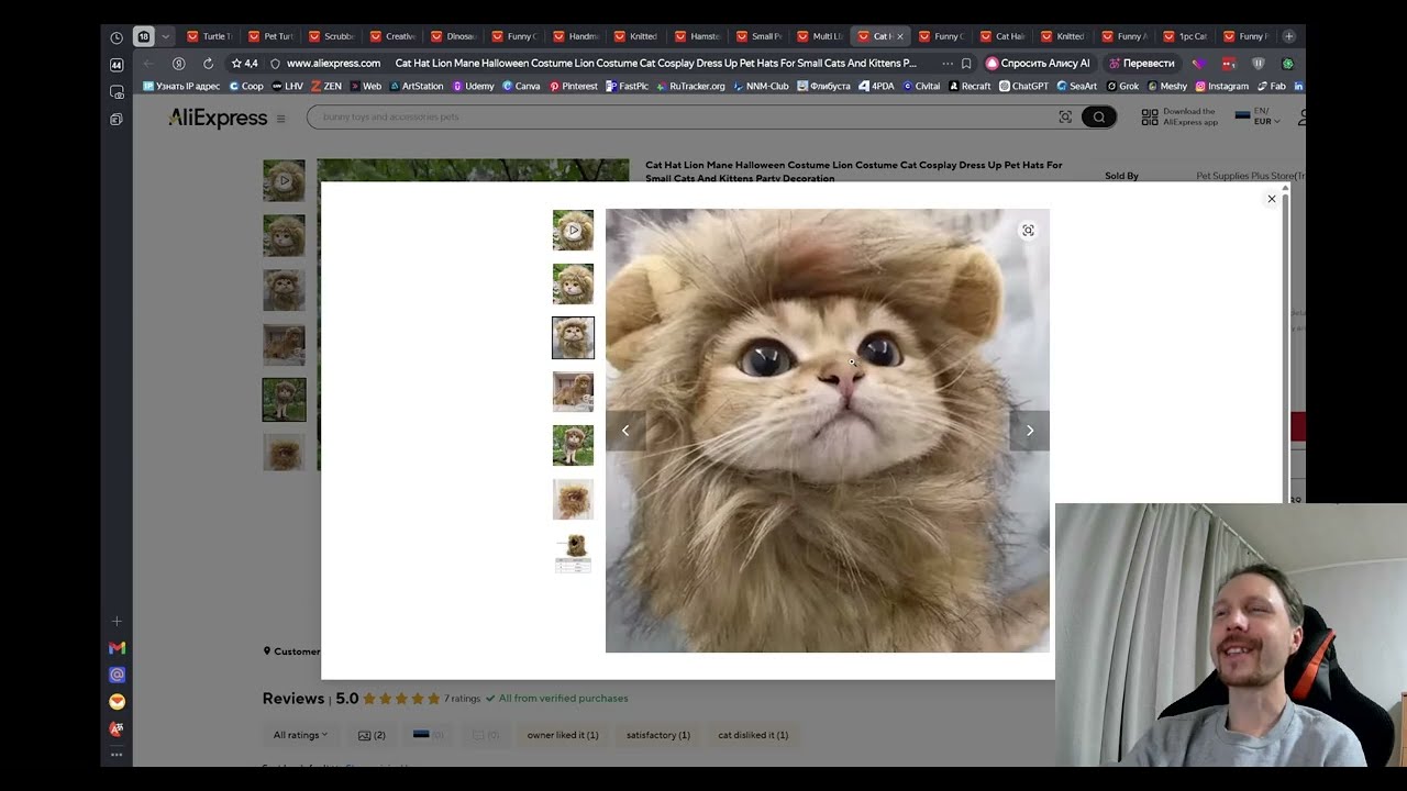 Самые смешные товары для животных с AliExpress