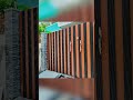 Main door 🚪 🤩👌👍￼New look #youtubeshorts #shorts #viral #short