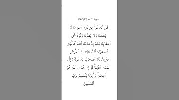 سورة الأنعام ٧١