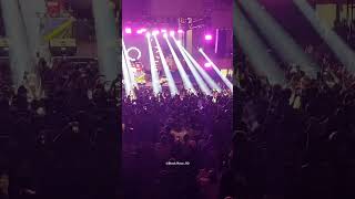 DMP-She Wanna Go (Live Jayapura Papua 2024) ❤️🔥