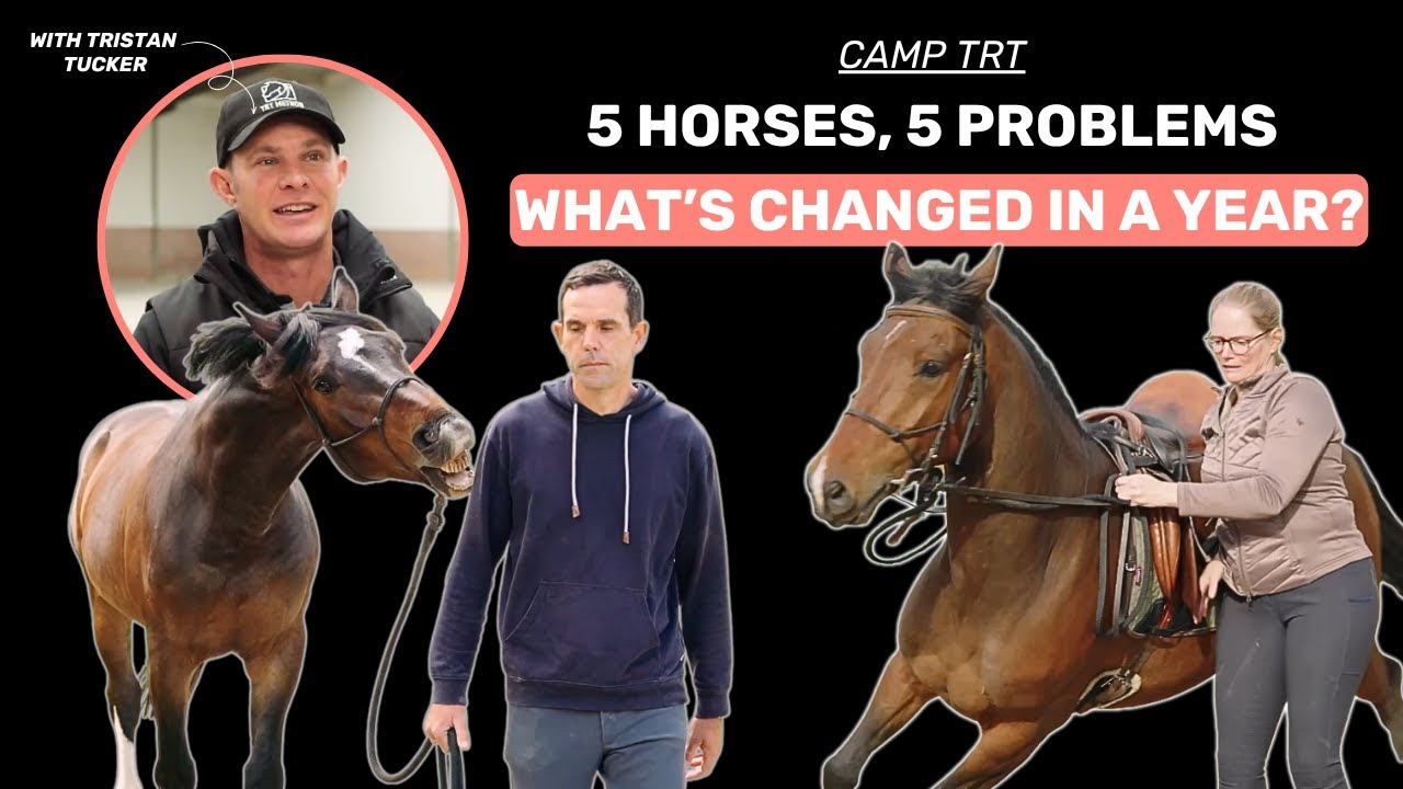 Camp TRT - S1E6 | How far have they come?