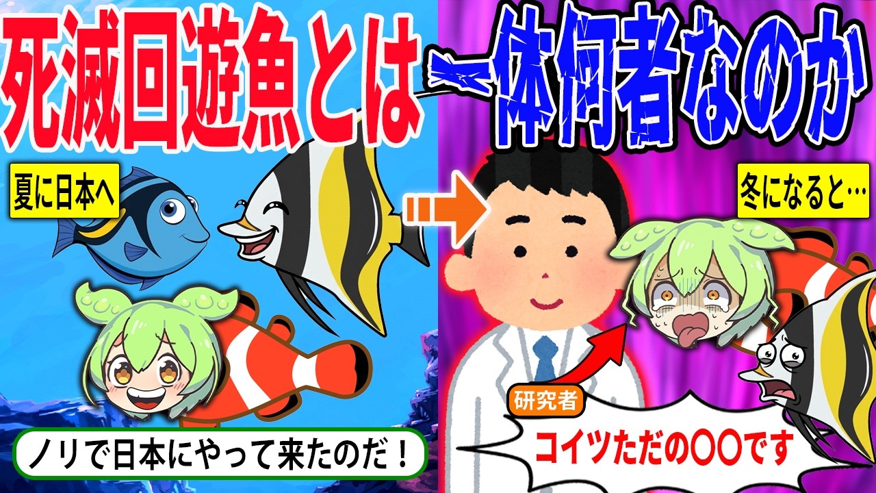 死滅回遊魚って一体何？その正体とは一体何なのか徹底解説！【ずんだもん＆ゆっくり解説】