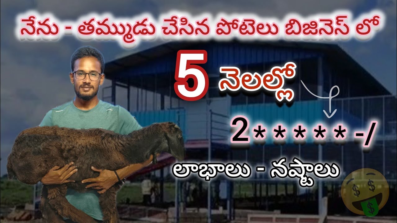 💸Profits and losses on my sheep farming business in 5 months | Detailed explanation in Telugu 